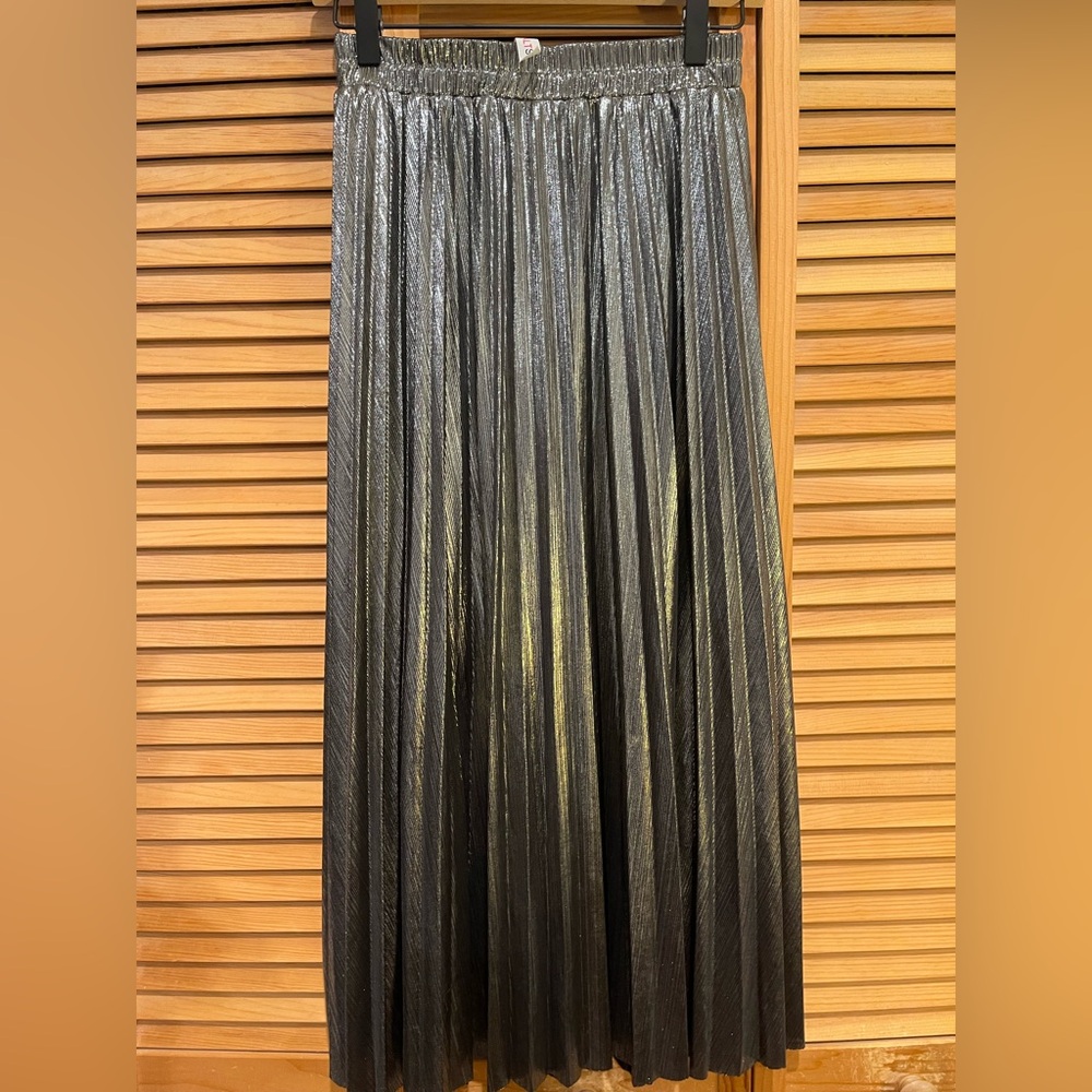 Elegant Silver Pleated Skirt